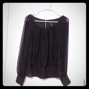 WHBM Black Velvet Polka Dot Blouse
